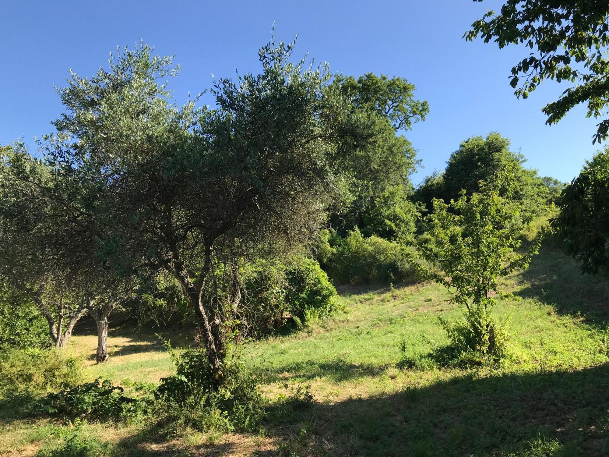 Agriturismo Ca' Poldo Villa Ancona Exterior photo